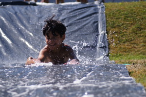 SONY DSC