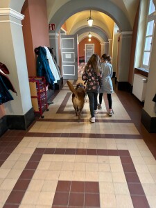 IMG_0424